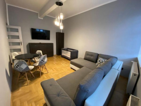 Apartament Deluxe w Bielawie - Widok na Góry Sowie F21